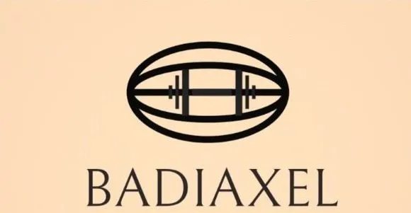 Axel Badi